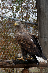 Similar image 17246112