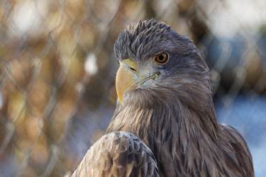 Similar image 17246113