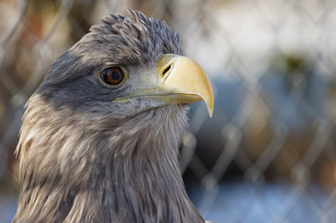 Similar image 17246114