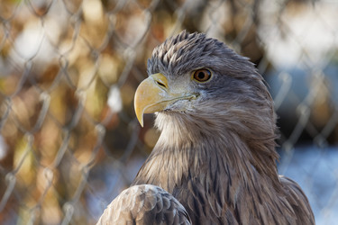 Similar image 17246115