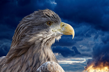 Similar image 17246118