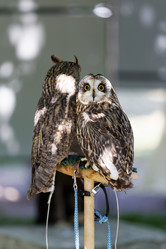 Similar image 17246127