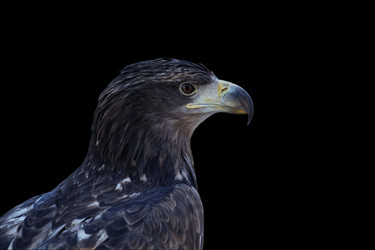 Similar image 17246143