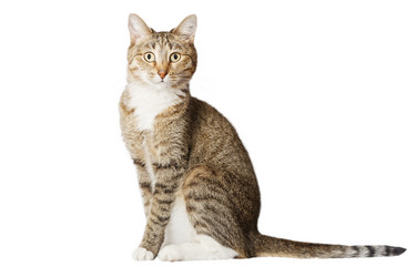 Similar image 17246147