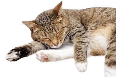 Similar image 17246152