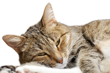 Similar image 17246170