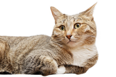 Similar image 17246130