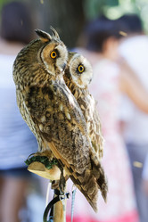 Similar image 17246137