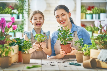 Similar image 17540660