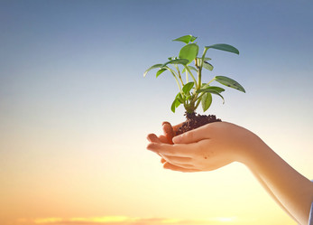 Similar image 17540671