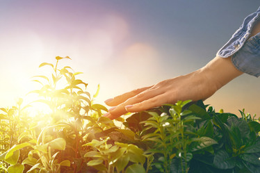 Similar image 17540682