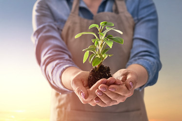 Similar image 17540685