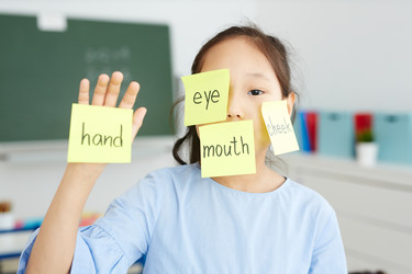 Similar image 17542689