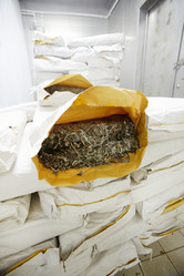 Similar image 17542690