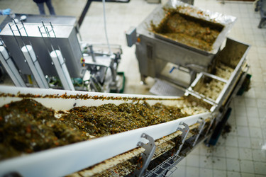 Similar image 17542545