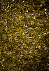 Similar image 17542546