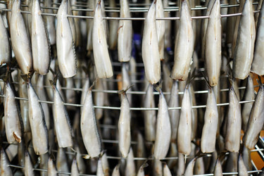 Similar image 17542548