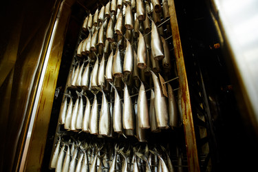 Similar image 17542550