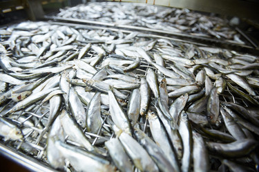 Similar image 17542551