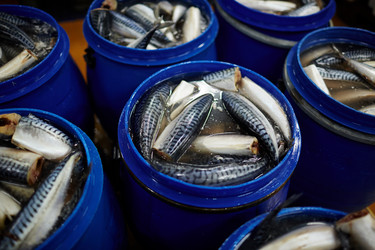 Similar image 17542680