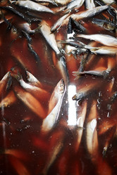 Similar image 17542688