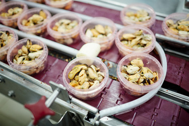 Similar image 17542663