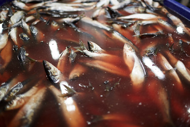 Similar image 17542675