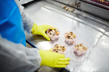 Similar image 17542679