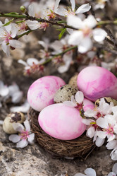 Similar image 17245884