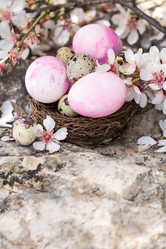 Similar image 17245850