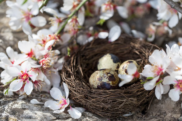 Similar image 17245852