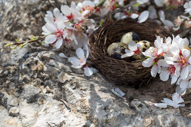 Similar image 17245854