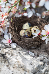 Similar image 17245855