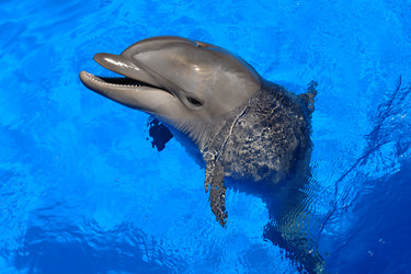 Similar image 17245667