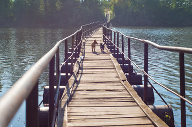 Similar image 17543957