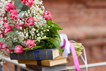 Similar image 17543963