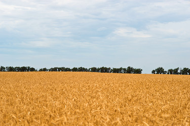 Similar image 17543953