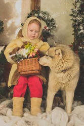 Similar image 17544002