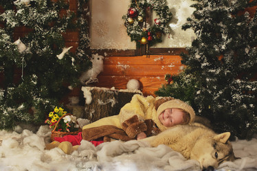 Similar image 17544014