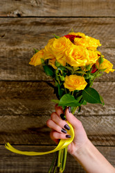 Similar image 17248002