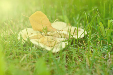 Similar image 17248060