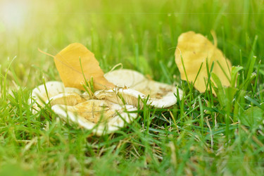 Similar image 17248061