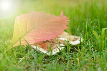 Similar image 17248062