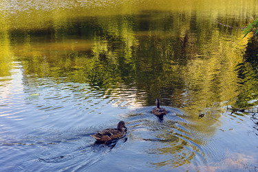 Similar image 17248064