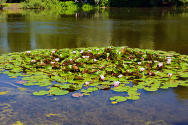 Similar image 17248065