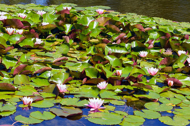 Similar image 17248066