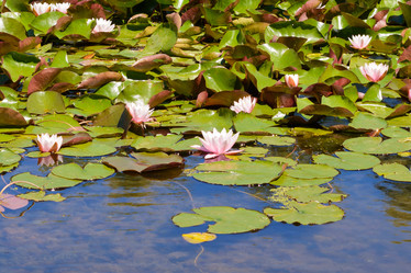 Similar image 17248023