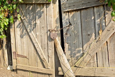 Similar image 17248052