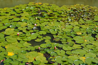 Similar image 17248868