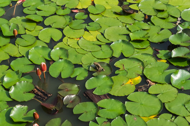 Similar image 17248864